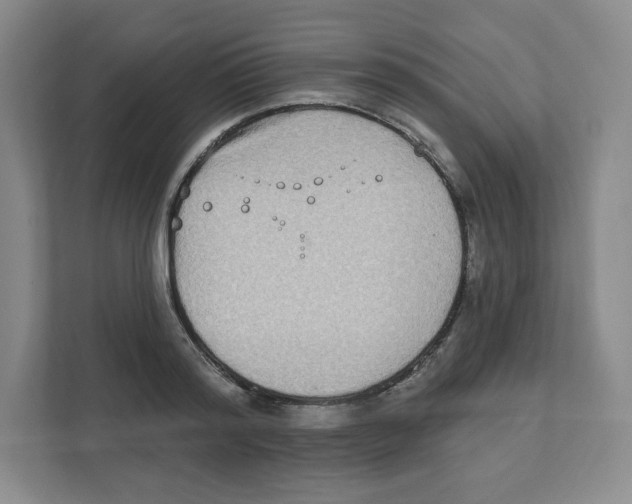 X0000111830796200908201150