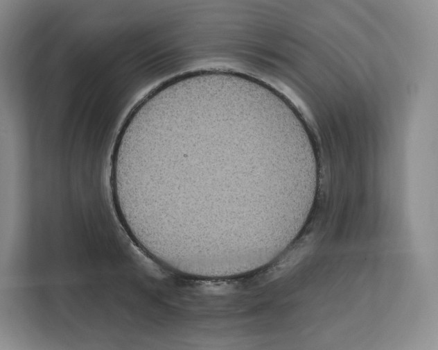 X0000111830799200908201150