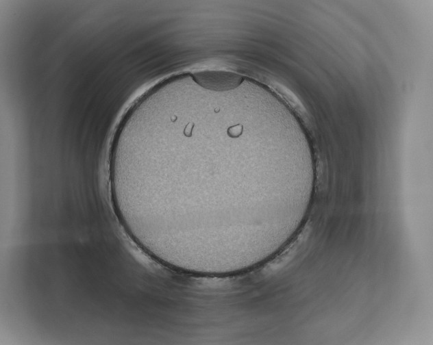 X0000111830800200908201150