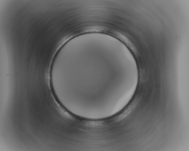 X0000111830802200908201150