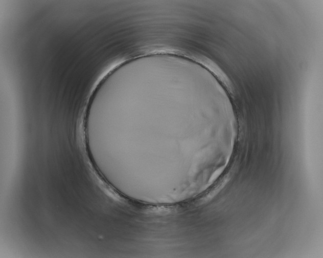 X0000111830806200908201150