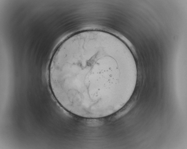 X0000111830807200908201150