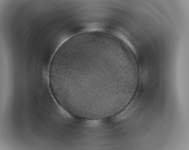 X0000111830810200908201149