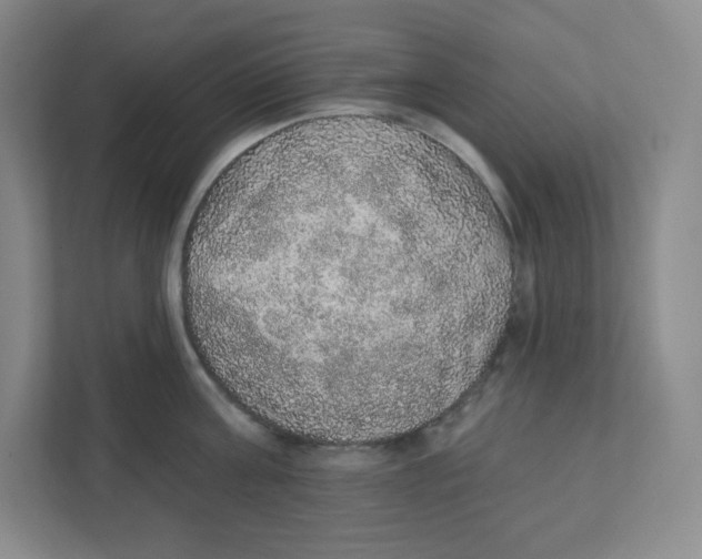 X0000111830811200908201149