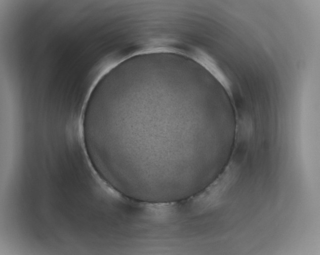 X0000111830813200908201149