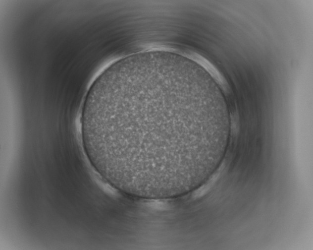 X0000111830814200908201149