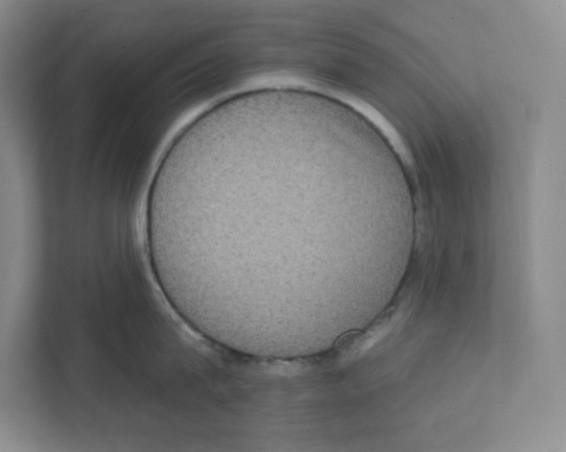 X0000111830815200908201149