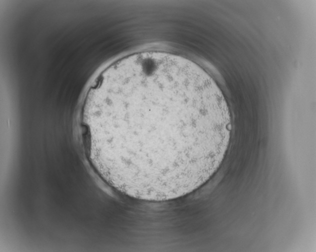 X0000111830816200908201149