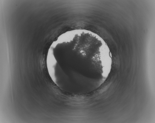 X0000111830818200908201149