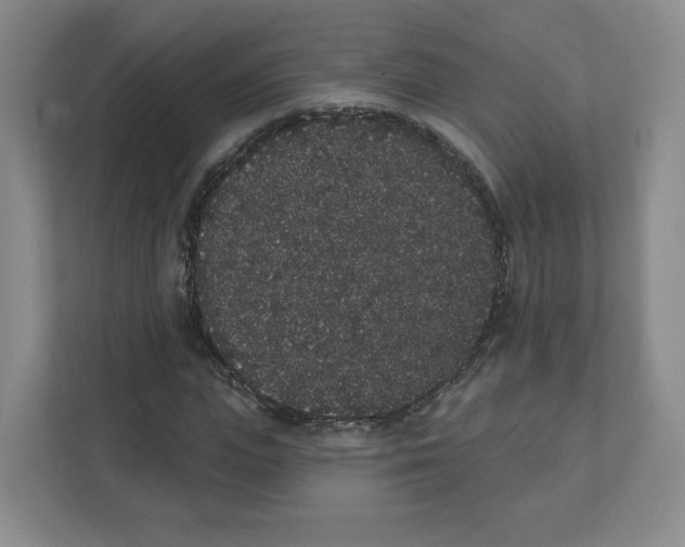 X0000111830823200908201149