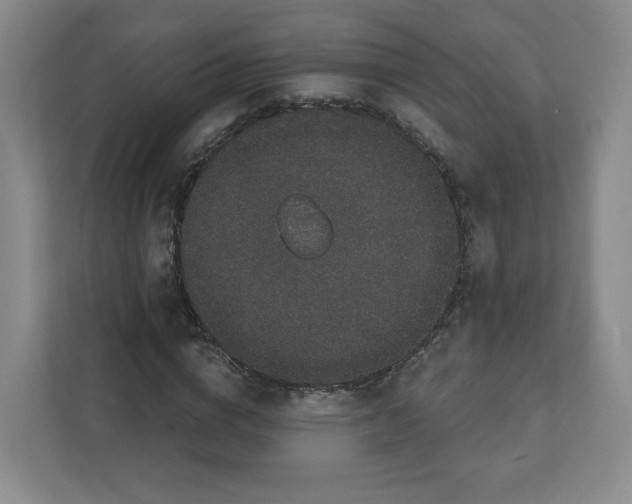 X0000111830824200908201149