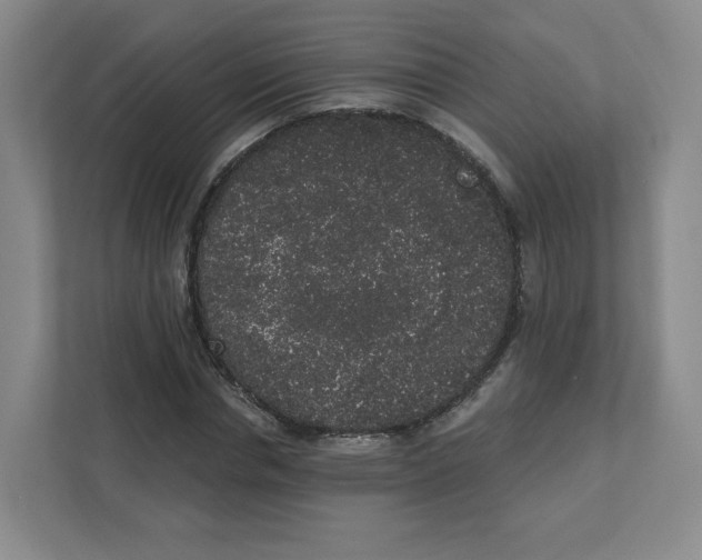 X0000111830826200908201149