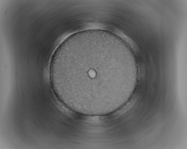 X0000111830828200908201149