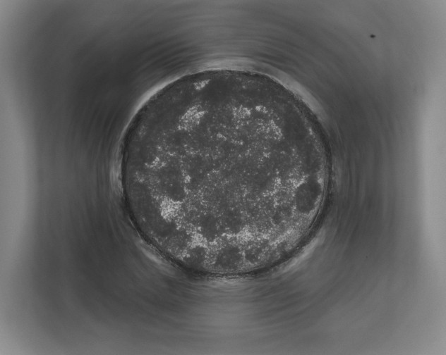 X0000111830830200908201149