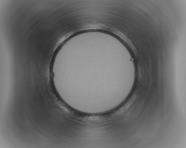 X0000111830834200908201149