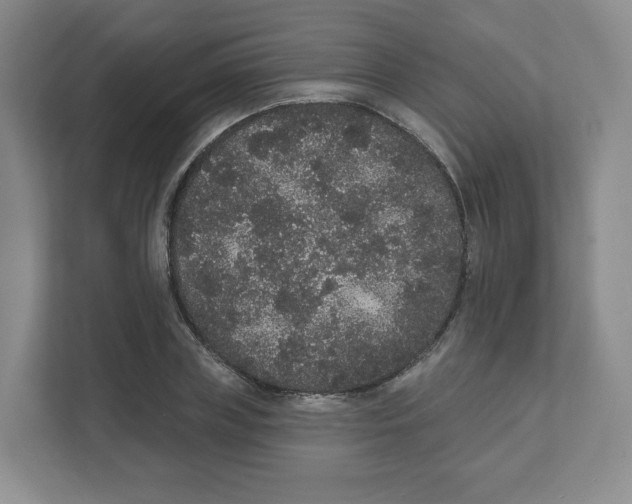 X0000111830835200908201149