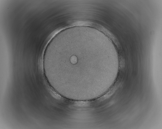 X0000111830836200908201149