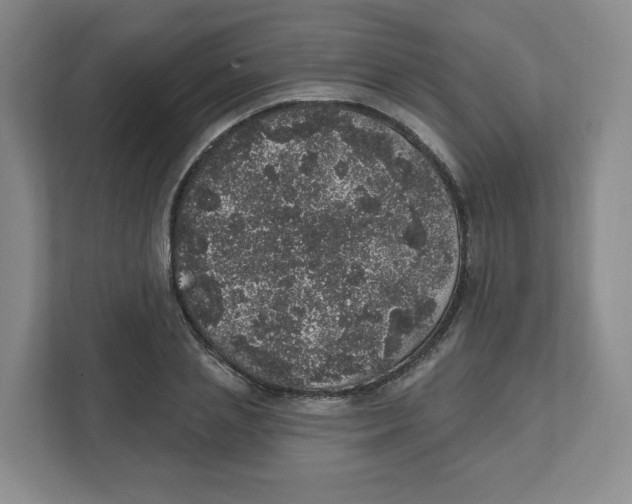 X0000111830837200908201149