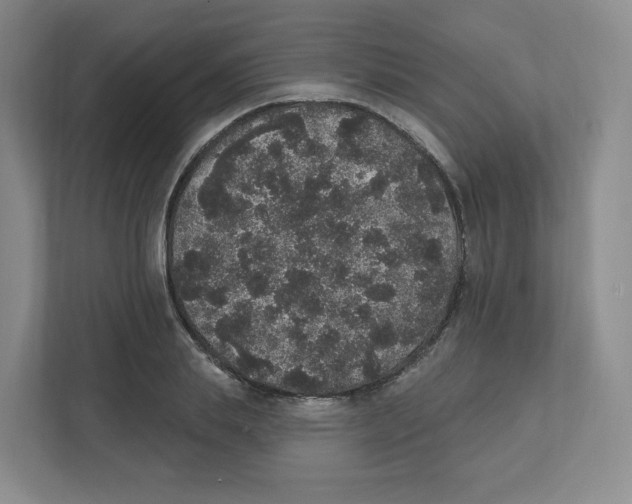 X0000111830839200908201149