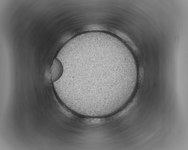 X0000111830841200908201149