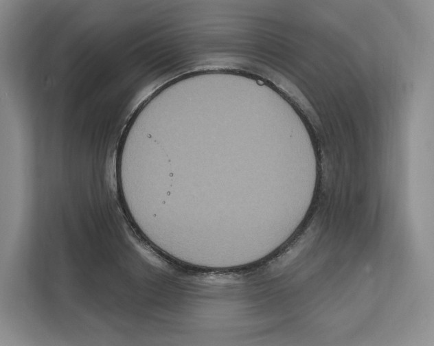 X0000111830842200908201149