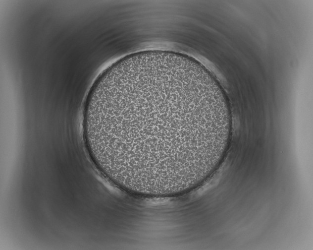 X0000111830846200908201149