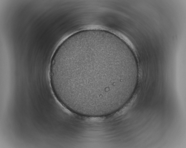 X0000111830847200908201149