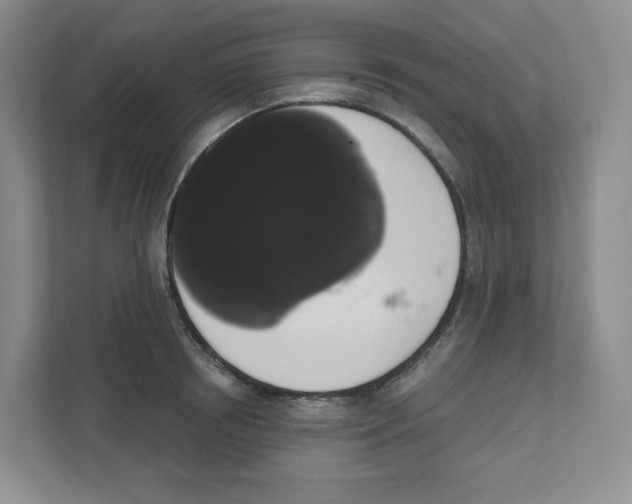 X0000111830850200908201149