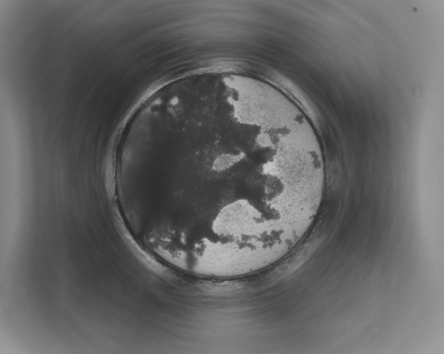 X0000111830851200908201149