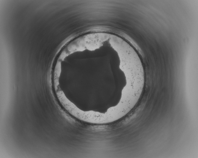 X0000111830853200908201149