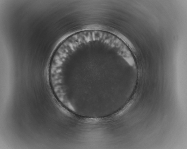 X0000111830854200908201149