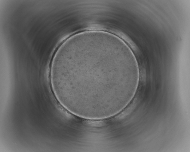 X0000111830856200908201149