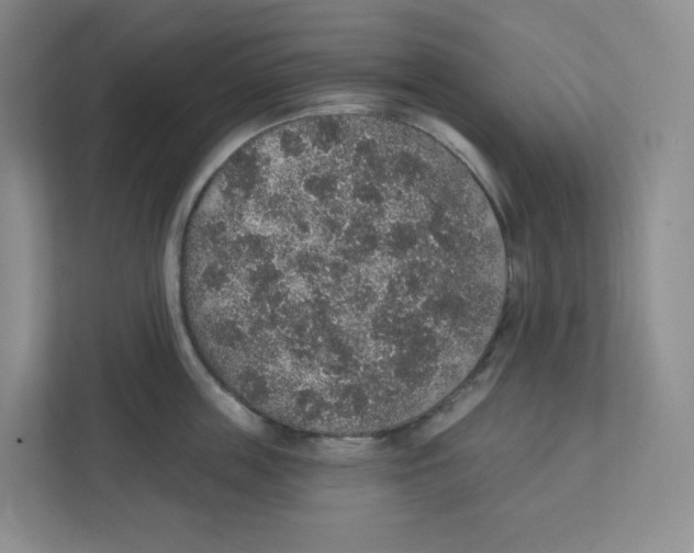 X0000111830859200908201149