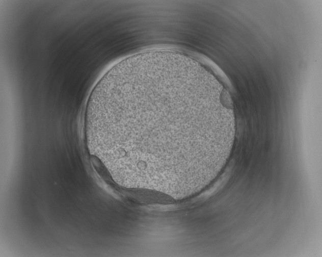 X0000111830860200908201149