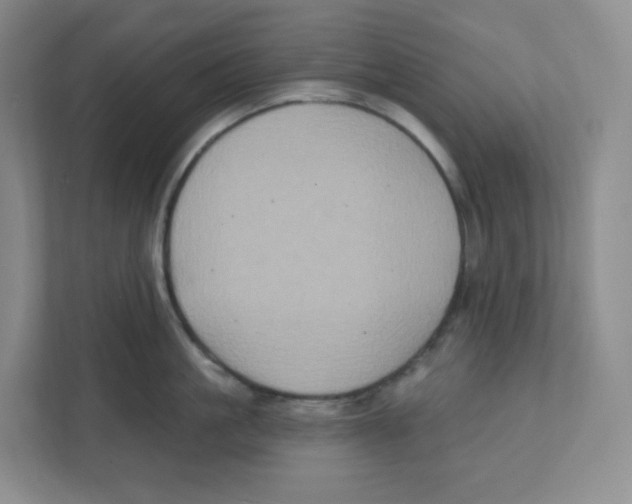 X0000111830861200908201149