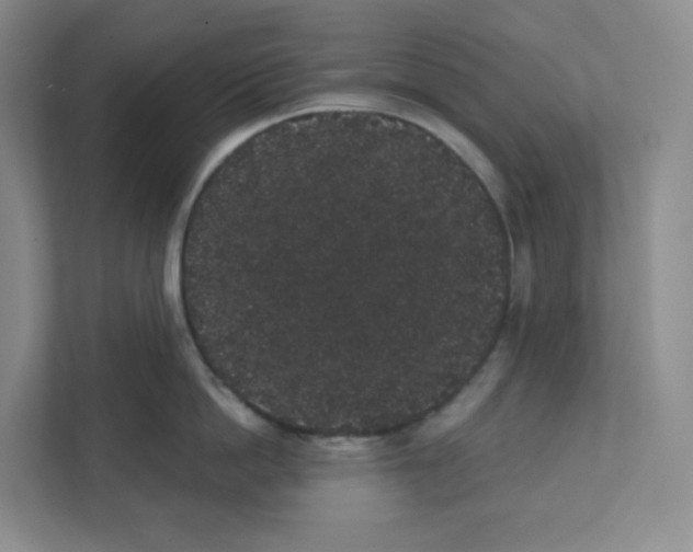 X0000111830862200908201149