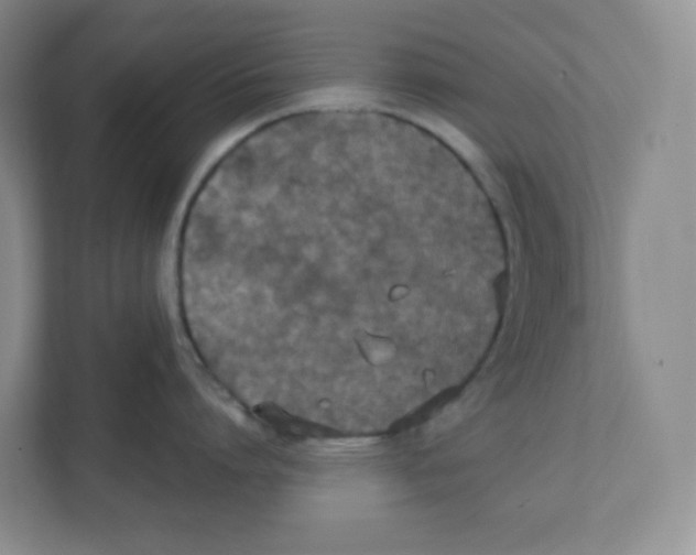 X0000111830864200908201149