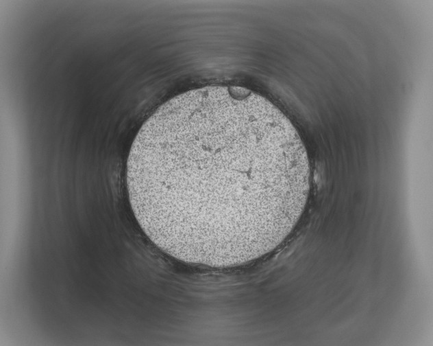 X0000111830867200908201149