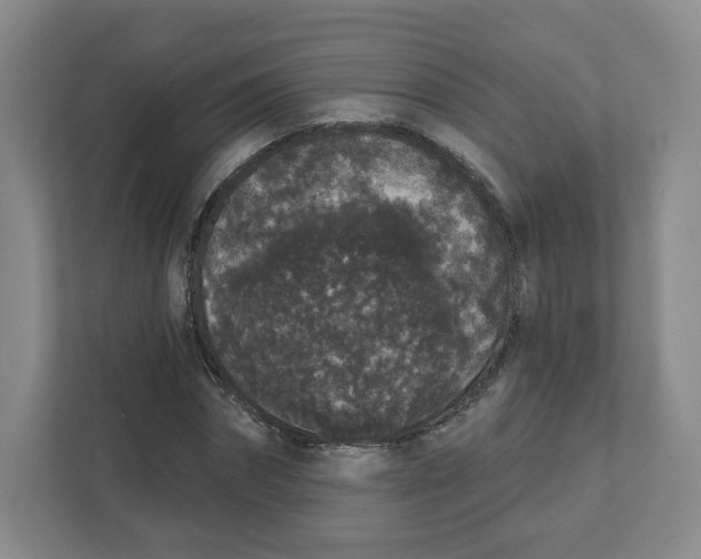 X0000111830874200908201149