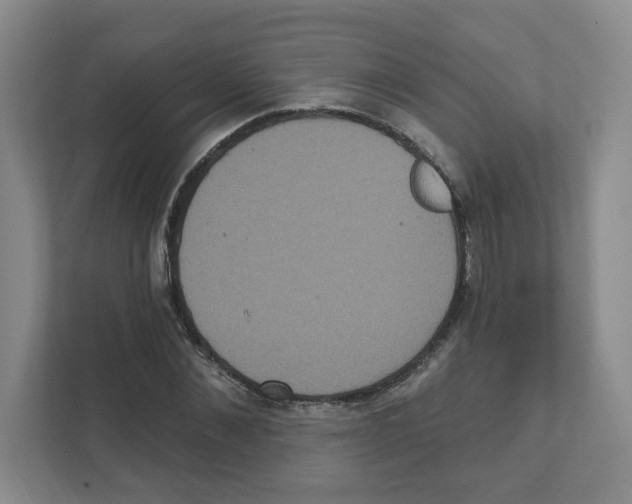 X0000111830876200908201149