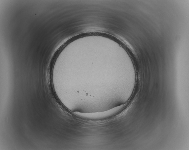 X0000111830877200908201149