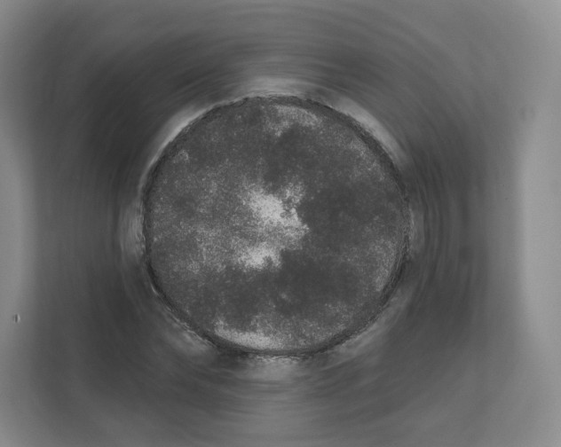 X0000111830878200908201149