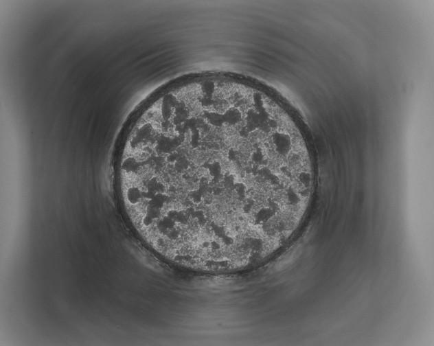 X0000111830879200908201149