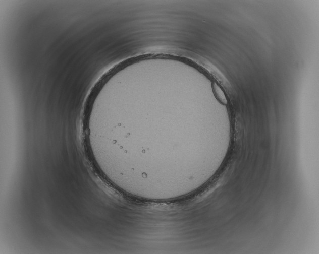 X0000111830880200908201149