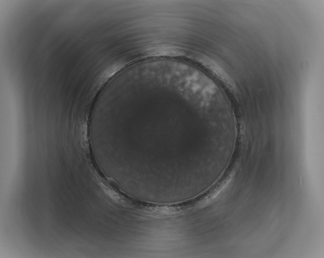 X0000111830881200908201149