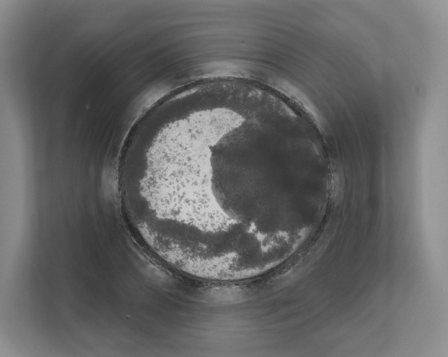 X0000111830882200908201149