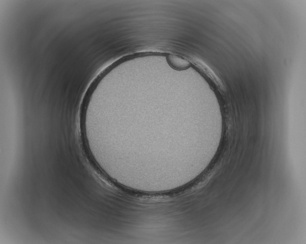 X0000111830884200908201149