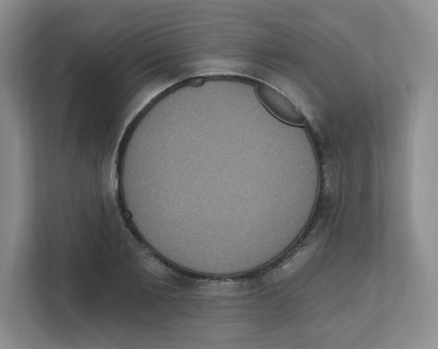 X0000111830885200908201149