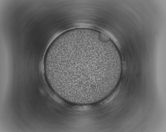 X0000111830891200908201148