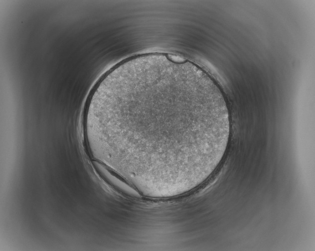 X0000111830892200908201148